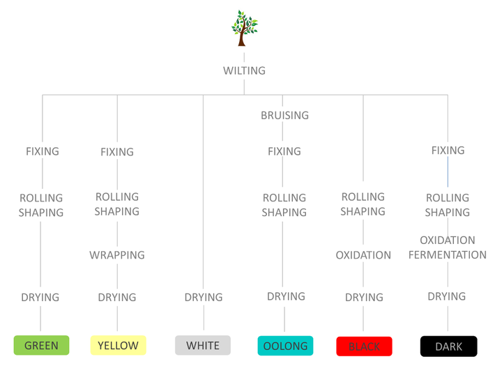 Tea processing manufacturing chart